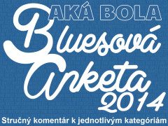 Bluesova-Anketa-2014