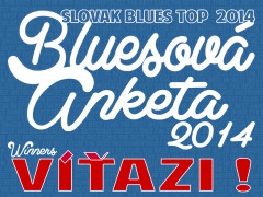 Bluesova-anketa-2014